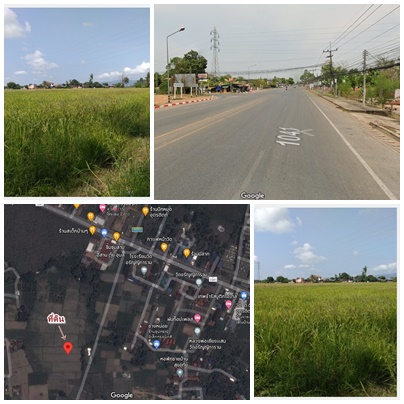 RiceFielg631sqw.Thasao Utaaradit. properties.