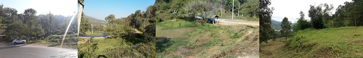 MaerimLand5rai, Pongyeang hillslope, Chiangmai.